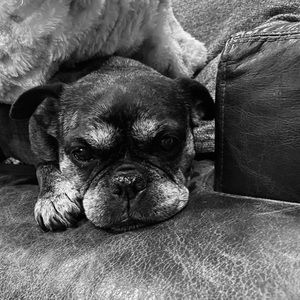 Meet your Posher, Jeff